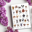 Search for dane postcards Chihuahua