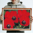 Search for spring bulbs posters Floral