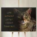 Search for think pet supplies Cute