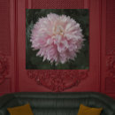 Search for chrysanthemum art Bloom