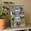 Search for tribute pet memorials Sympathy