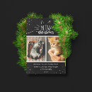 Search for cat christmas cards Black and white