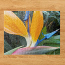 Search for tropical plant puzzles Floral