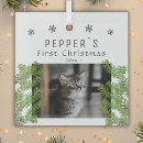 Search for kittens first christmas tree decorations Cute