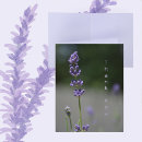 Search for herbs note cards Floral