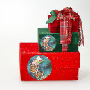 Search for vintage reindeer stickers Santa claus