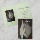 Search for white lily cards Elegant
