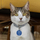 Search for deep pet supplies Stylish