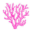 Search for coral reef tissue paper Beachy