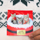 Search for black and white cat christmas cards Kittens