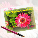 Search for aster horizontal postcards Daisy