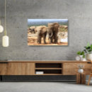 Search for elephant canvas prints Nature