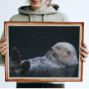 Search for cute otter posters Animals