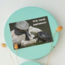 Search for rock photo cards Funny