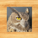 Search for horn tiles Animal