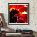 Search for closeup posters Photography