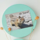 Search for grounded cards Cute