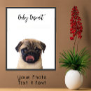 Search for pug picture posters Dog