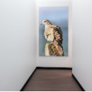 Search for wood pigeon posters Dove