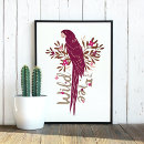 Search for ara posters Parrot