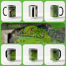 Search for iguana mugs Nature