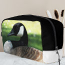 Search for kit photography Animals