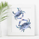 Search for blue crab posters Sea