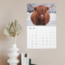 Search for farm animal calendars Cow
