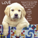 Search for alice in wonderland watches Carroll