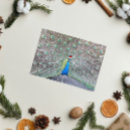 Search for peacock christmas cards Animals