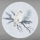 Search for owl on branch stickers Blue