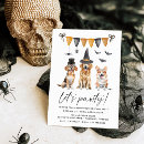 Search for dog halloween invitations Witch