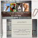 Search for veterinarian appointment cards Animal hospital