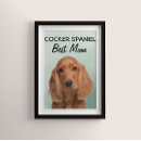 Search for cocker posters Pets