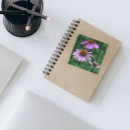 Search for echinacea stickers Botanical