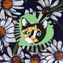 Search for calico cat coasters Cats