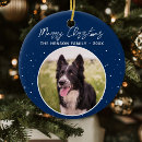 Search for border collie christmas tree decorations Pet