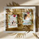 Search for fl cards Palm trees