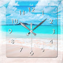 Search for tropical clocks Photography