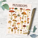 Search for vintage mushrooms postcards Botanical