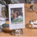 Search for mountain table cards Modern