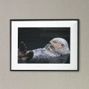 Search for sea otter posters Cute