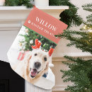 Search for dog christmas stockings Dogs