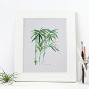 Search for bamboo posters Hawaii