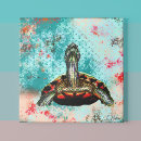 Search for tortoise posters Red