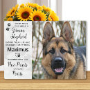 Search for german shepherd memorial Dog