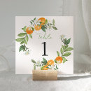 Search for tropical numbers table cards Botanical