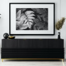 Search for black and white fern art Floral