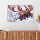 Search for teton canvas prints Wyoming