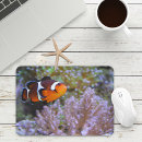 Search for anemone mouse mats Marine life